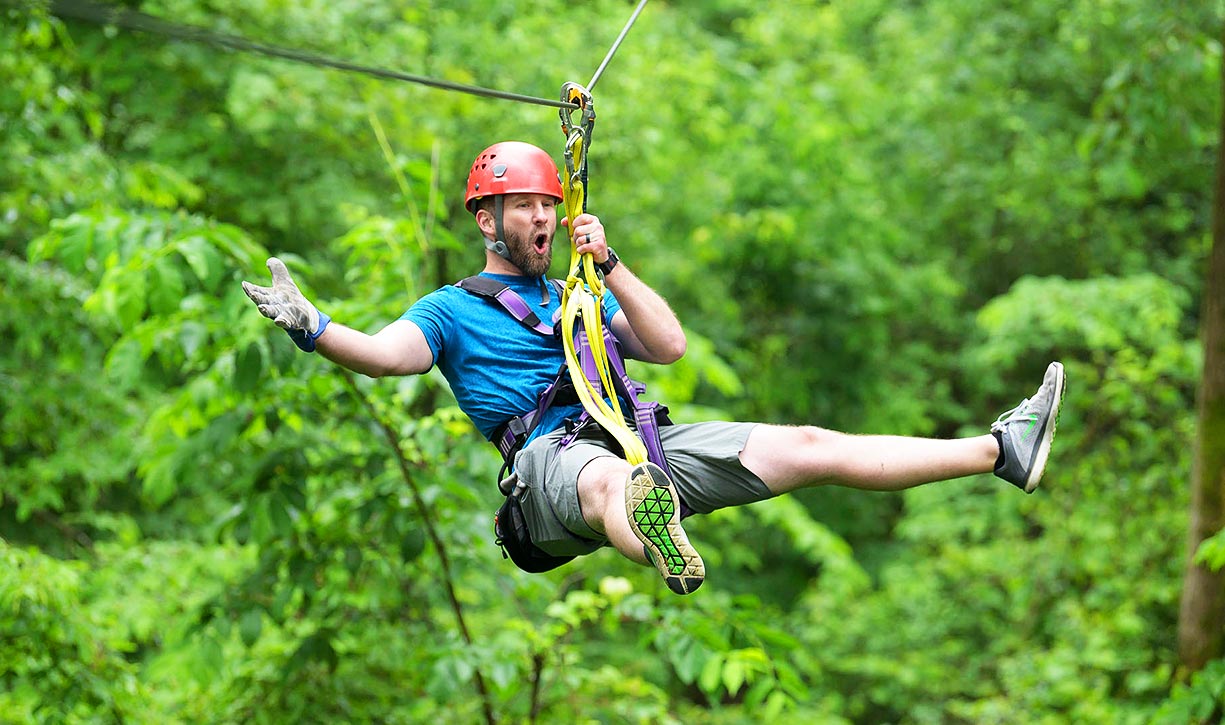 Zip through the trees
