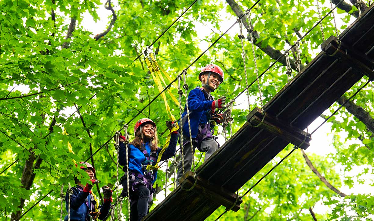 Walk through the treetops