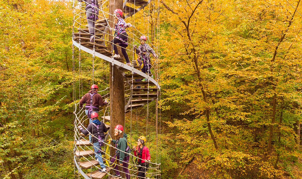 Walk through the treetops