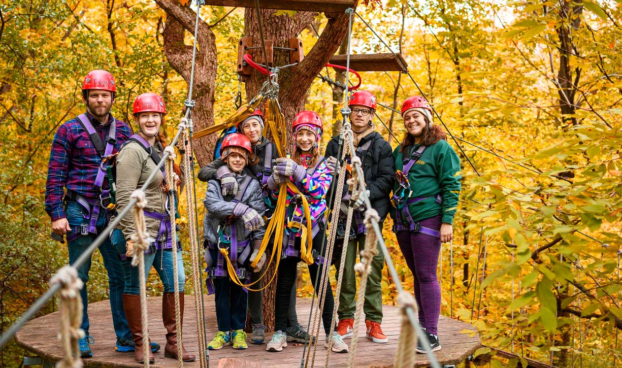 Canopy adventures