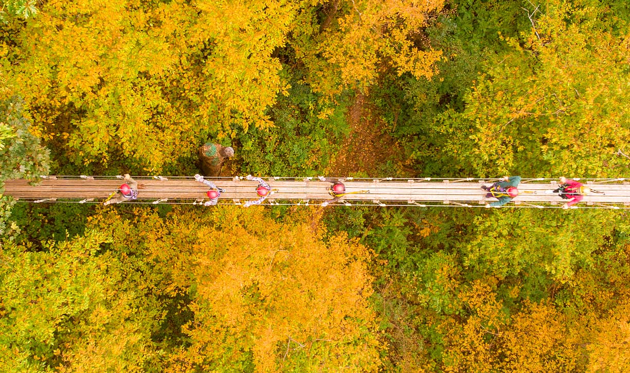 Walk on suspension bridges