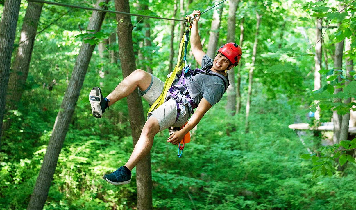 Zip through the trees