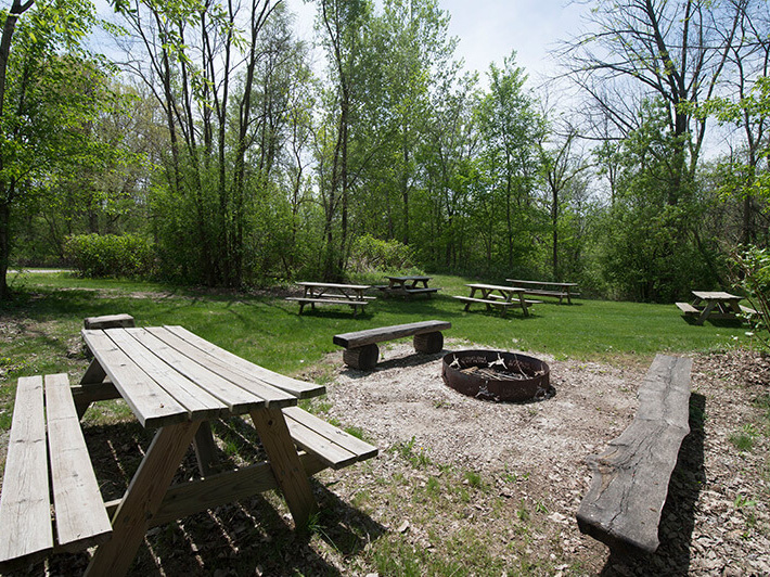 picnic area with firepit